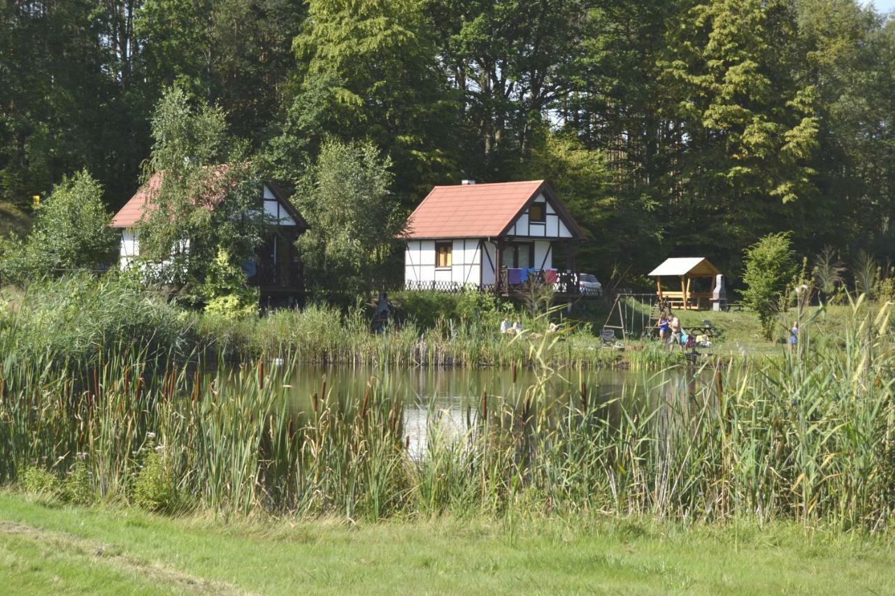 Apartamenty, Domki, Wedkowanie